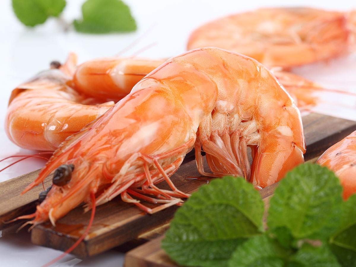 Top 10 hot issues of the global shrimp industry